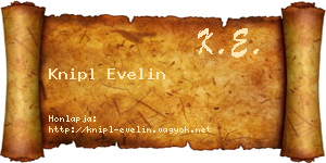 Knipl Evelin névjegykártya